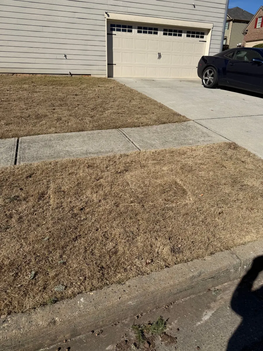 Dressers, Christmas tree and bags at the curb before pickup — after